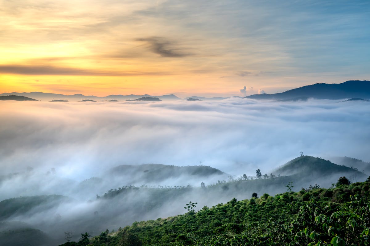 Deomali Peak - Highest Point of Odisha at 1672m, Koraput
